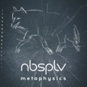 How Much is the Song Brushwood by NBSPLV Worth? Royalty & Value Breakdown