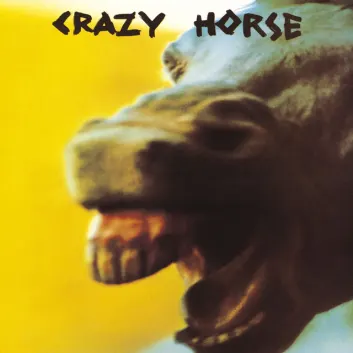 How Much is the Song Nobody by Crazy Horse Worth? Royalty & Value Breakdown