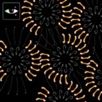 How Much is the Song Sus Auriculares by Fito Paez Worth? Royalty & Value Breakdown