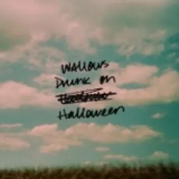 How Much is the Song Drunk on Halloween by Wallows Worth? Royalty & Value Breakdown