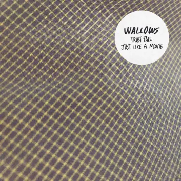 How Much is the Song Just Like A Movie by Wallows Worth? Royalty & Value Breakdown