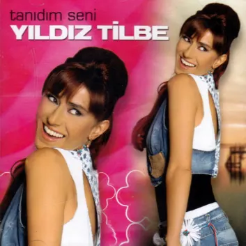 How Much is the Song Ben de İstiyorum - Tipim Değilsin Aslında - Version 2 by Yıldız Tilbe Worth? Royalty & Value Breakdown
