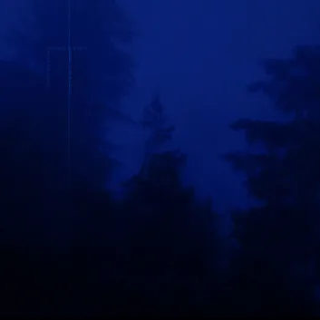 How Much is the Song ur my safe place by my head is empty Worth? Royalty & Value Breakdown