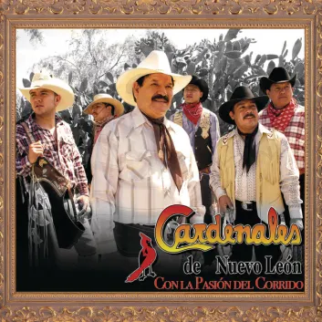 How Much is the Song Corrido De Juan Martha by Cardenales De Nuevo León Worth? Royalty & Value Breakdown