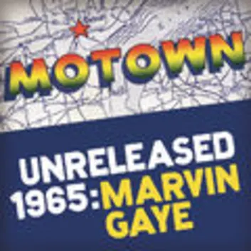 How Much is the Song More by Marvin Gaye Worth? Royalty & Value Breakdown