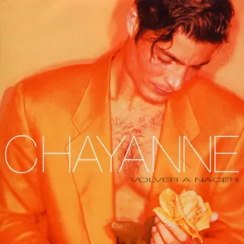 How Much is the Song Voy A Enseñarte by Chayanne Worth? Royalty & Value Breakdown