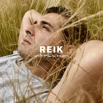 How Much is the Song Con la Falta Que Me Haces by Reik Worth? Royalty & Value Breakdown