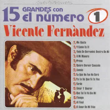 How Much is the Song Lo Que No Fue No Sera - Tema Remasterizado by Vicente Fernández Worth? Royalty & Value Breakdown