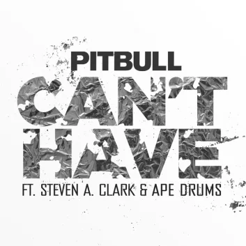 How Much is the Song Can't Have by Pitbull Worth? Royalty & Value Breakdown