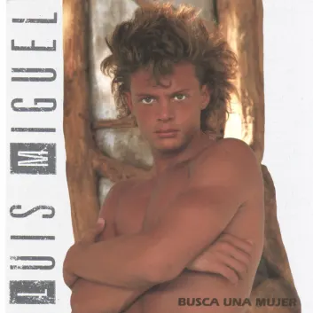How Much is the Song Un Hombre Busca a Una Mujer by Luis Miguel Worth? Royalty & Value Breakdown