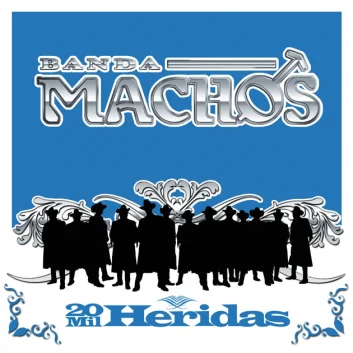 How Much is the Song 20 mil heridas by Banda Machos Worth? Royalty & Value Breakdown