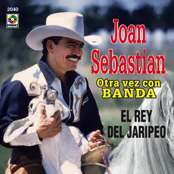 How Much is the Song No Te Supe Amar by Joan Sebastian Worth? Royalty & Value Breakdown