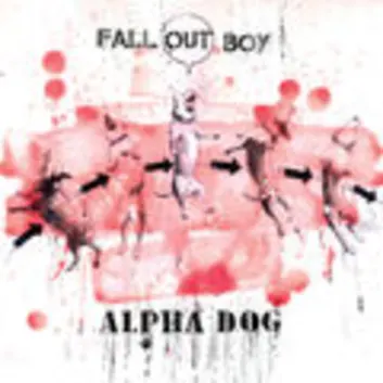How Much is the Song Alpha Dog by Fall Out Boy Worth? Royalty & Value Breakdown