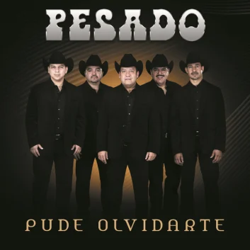 How Much is the Song Pude Olvidarte by Pesado Worth? Royalty & Value Breakdown