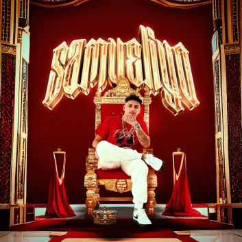 How Much is the Song Cóctel by Samueliyo Baby Worth? Royalty & Value Breakdown