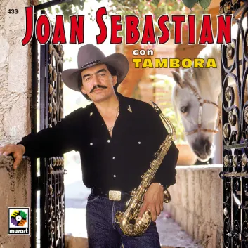 How Much is the Song Selene by Joan Sebastian Worth? Royalty & Value Breakdown
