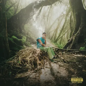 How Much is the Song ALOHA by Myke Towers Worth? Royalty & Value Breakdown