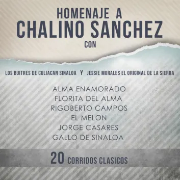 How Much is the Song Rigoberto Campos by Los Buitres De Culiacan Sinaloa Worth? Royalty & Value Breakdown