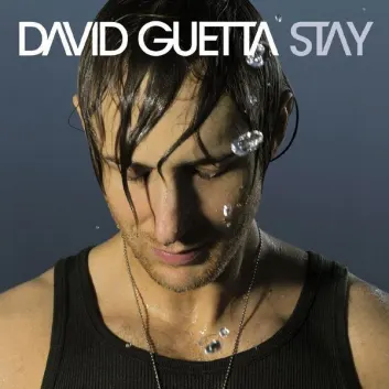 How Much is the Song Stay (Radio Edit) by David Guetta Worth? Royalty & Value Breakdown