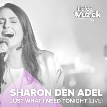How Much is the Song Just What I Need Tonight (Uit Liefde Voor Muziek) - Live by Sharon Den Adel Worth? Royalty & Value Breakdown