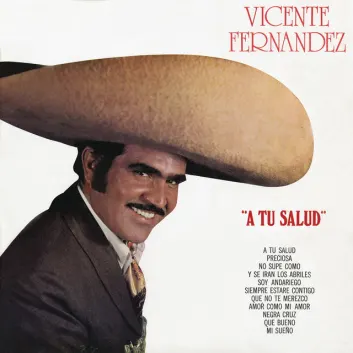 How Much is the Song Amor Como Mi Amor by Vicente Fernández Worth? Royalty & Value Breakdown