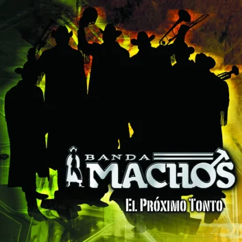 How Much is the Song El Próximo Tonto by Banda Machos Worth? Royalty & Value Breakdown