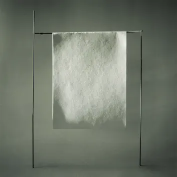 How Much is the Song Blanc by Sylvain Chauveau Worth? Royalty & Value Breakdown