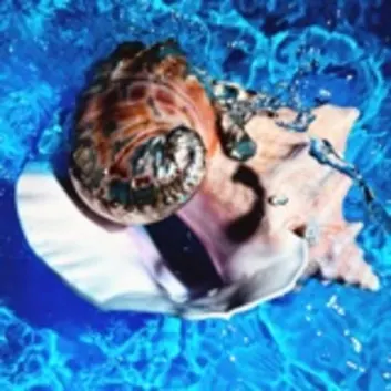 How Much is the Song Heaven (feat. Tinashe) by Shygirl Worth? Royalty & Value Breakdown