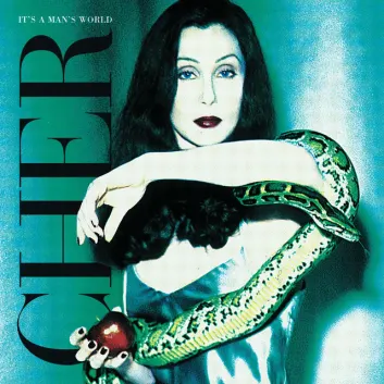 How Much is the Song I Wouldn't Treat A Dog - The Way You Treated Me by Cher Worth? Royalty & Value Breakdown