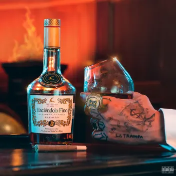 How Much is the Song ELEMENTOS by Alemán Worth? Royalty & Value Breakdown