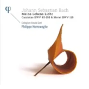 How Much is the Song Motet in B-Flat Major "O Jesu Christ, mein's Lebens Licht", BWV 118 by Johann Sebastian Bach Worth? Royalty & Value Breakdown