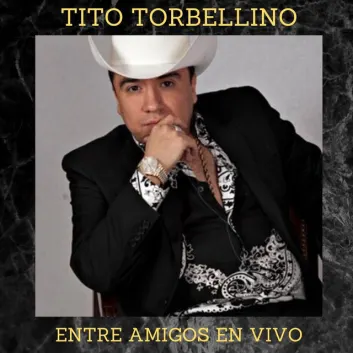 How Much is the Song El Manguera (En Vivo) by Tito Torbellino Worth? Royalty & Value Breakdown