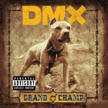 How Much is the Song Where The Hood At by DMX Worth? Royalty & Value Breakdown