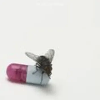 How Much is the Song Goodbye Hooray by Red Hot Chili Peppers Worth? Royalty & Value Breakdown