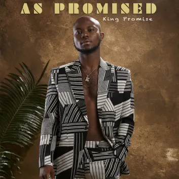 How Much is the Song CCTV by King Promise Worth? Royalty & Value Breakdown