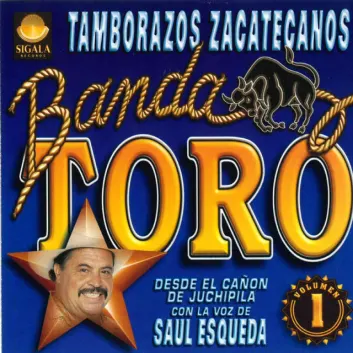 How Much is the Song A Los Cuatro Vientos by Banda Toro Worth? Royalty & Value Breakdown