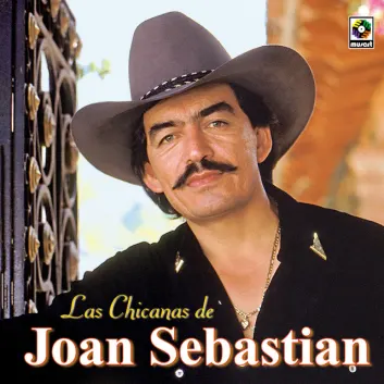 How Much is the Song Corazón Del Corazón by Joan Sebastian Worth? Royalty & Value Breakdown