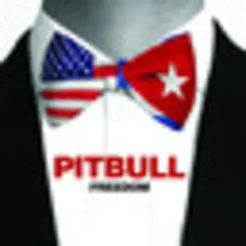 How Much is the Song Freedom by Pitbull Worth? Royalty & Value Breakdown