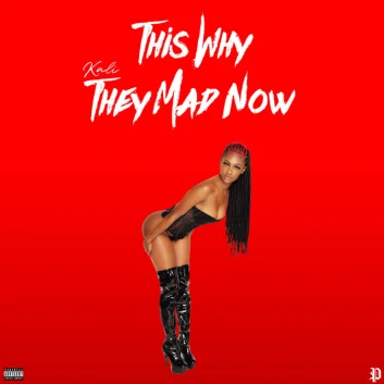 How Much is the Song Big Body by Kaliii Worth? Royalty & Value Breakdown