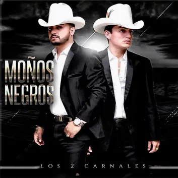 How Much is the Song Lo Voy a Intentar by Los Dos Carnales Worth? Royalty & Value Breakdown