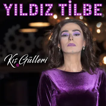 How Much is the Song Gökyüzünde Yıldızlarca by Yıldız Tilbe Worth? Royalty & Value Breakdown