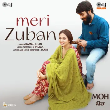 How Much is the Song Meri Zuban (From "MOH") by Jaani Worth? Royalty & Value Breakdown