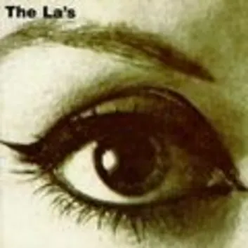 How Much is the Song Knock Me Down by The La's Worth? Royalty & Value Breakdown