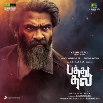 How Much is the Song Nee Singam Dhan by A.R. Rahman Worth? Royalty & Value Breakdown