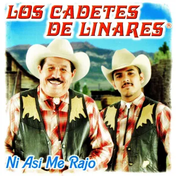 How Much is the Song Enganosa y Cobarde by Los Cadetes De Linares Worth? Royalty & Value Breakdown