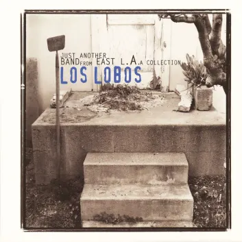 How Much is the Song Angel Dance by Los Lobos Worth? Royalty & Value Breakdown