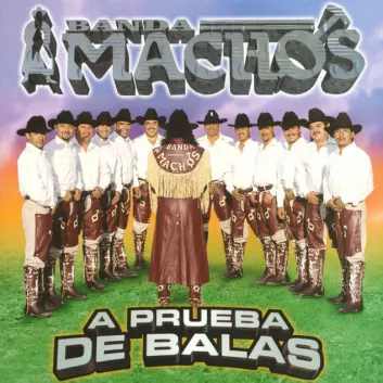 How Much is the Song Cuando los años pasen by Banda Machos Worth? Royalty & Value Breakdown