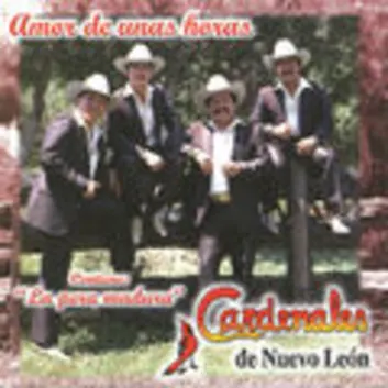 How Much is the Song Remordimiento by Cardenales De Nuevo León Worth? Royalty & Value Breakdown