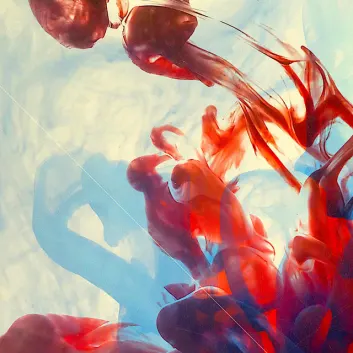 How Much is the Song The Twelve Days of Christmas by Harry Belafonte Worth? Royalty & Value Breakdown