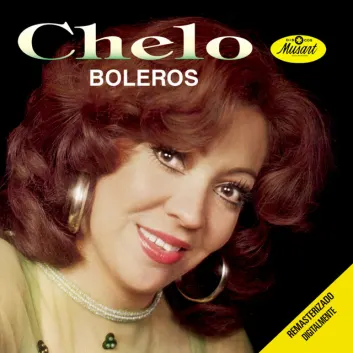 How Much is the Song Diez Años by Chelo Worth? Royalty & Value Breakdown